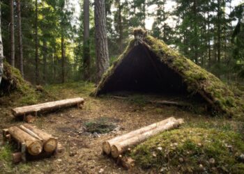 Harnessing the Power of Survival Instincts: Awakening the Sleeping Giants Within Us