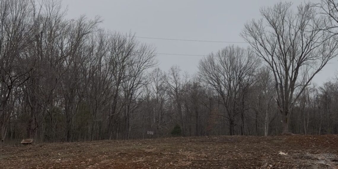 Standing on Empty Ground: What My Grandmother's Land Taught Me About Legacy