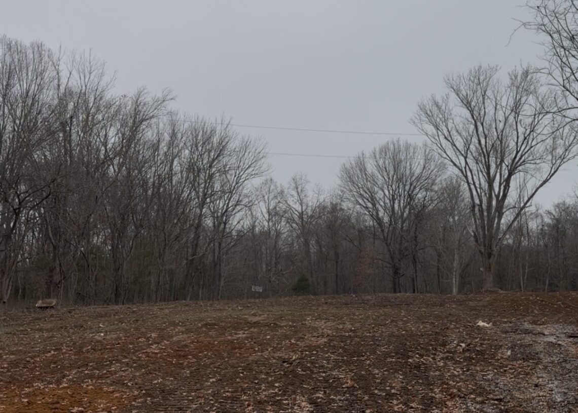 Standing on Empty Ground: What My Grandmother's Land Taught Me About Legacy