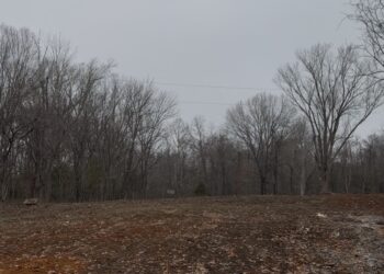 Standing on Empty Ground: What My Grandmother's Land Taught Me About Legacy