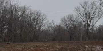 Standing on Empty Ground: What My Grandmother's Land Taught Me About Legacy